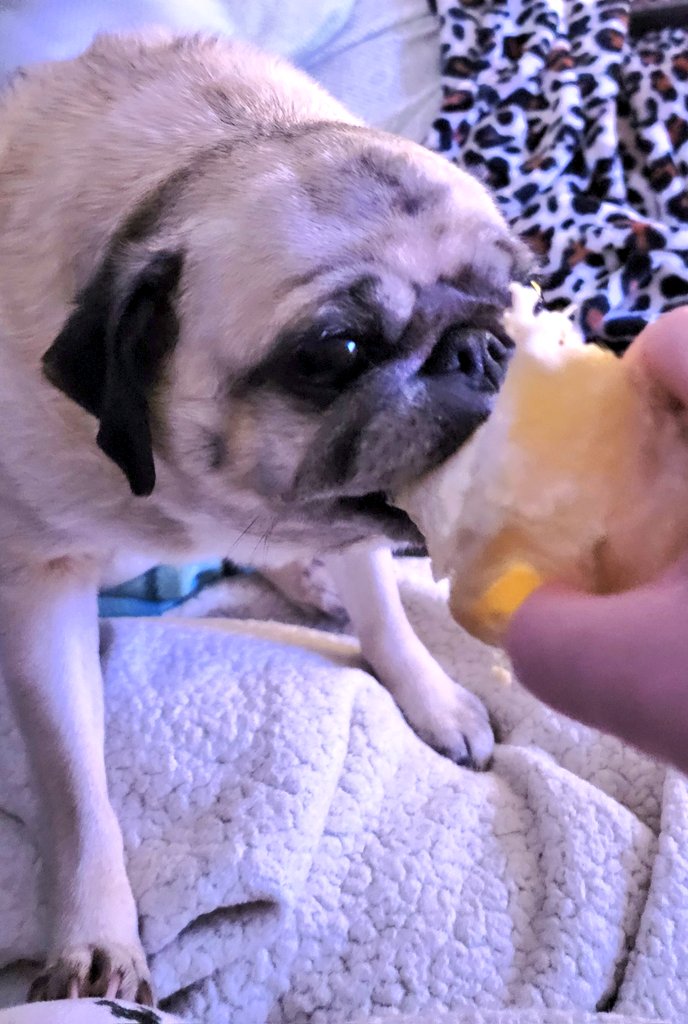 💗ANGELSARAH💗 S&O🍊 tweet media