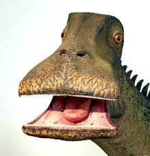 Mi cuerpo llegó al colapso mental, aun queda más capacidad fisica pa fiesta