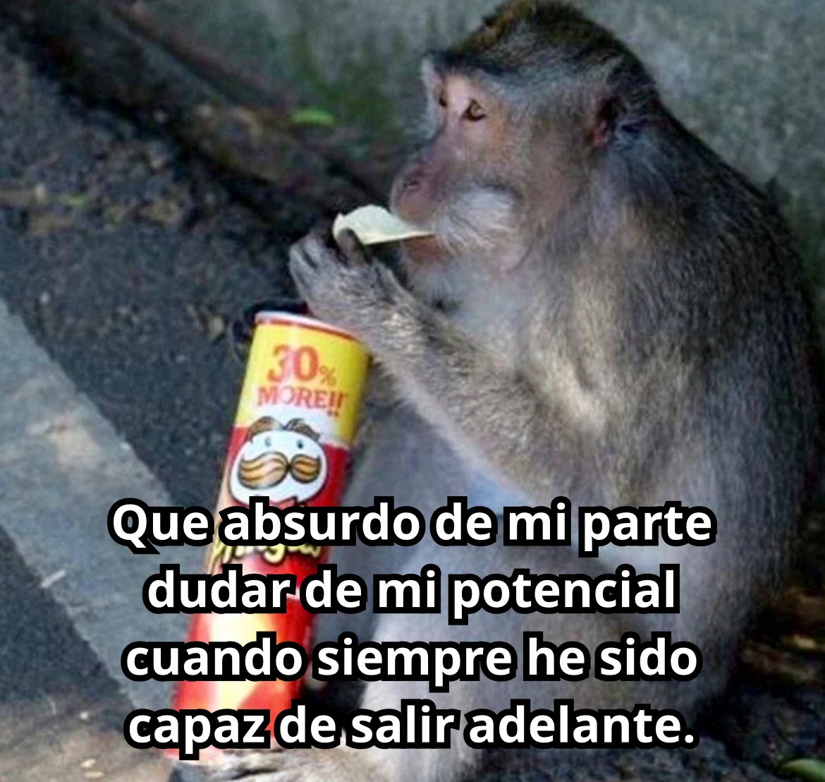 conoloracigarro's tweet photo. https://t.co/vqzgbwpN3H