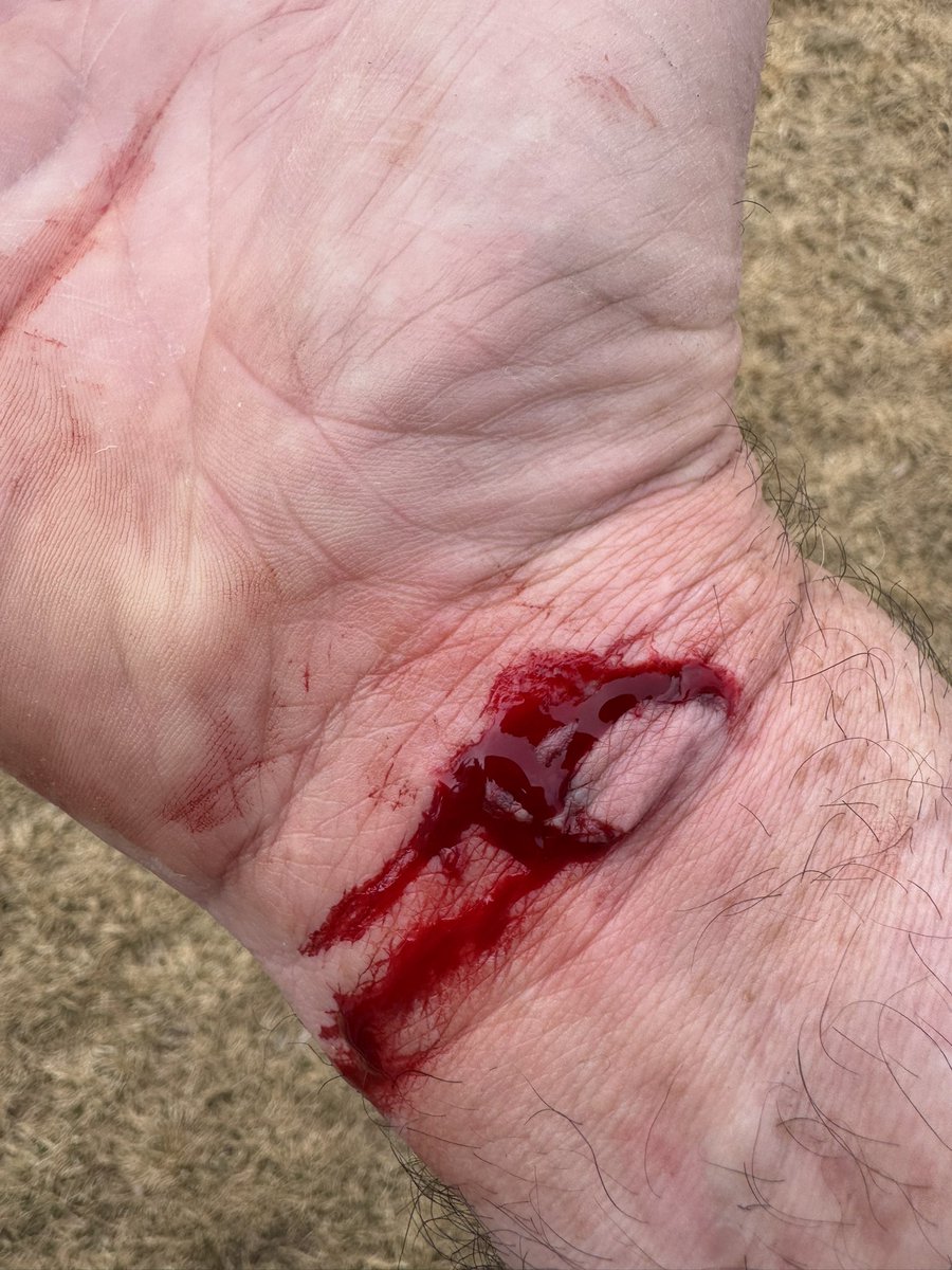 Nutnfancy tweet media