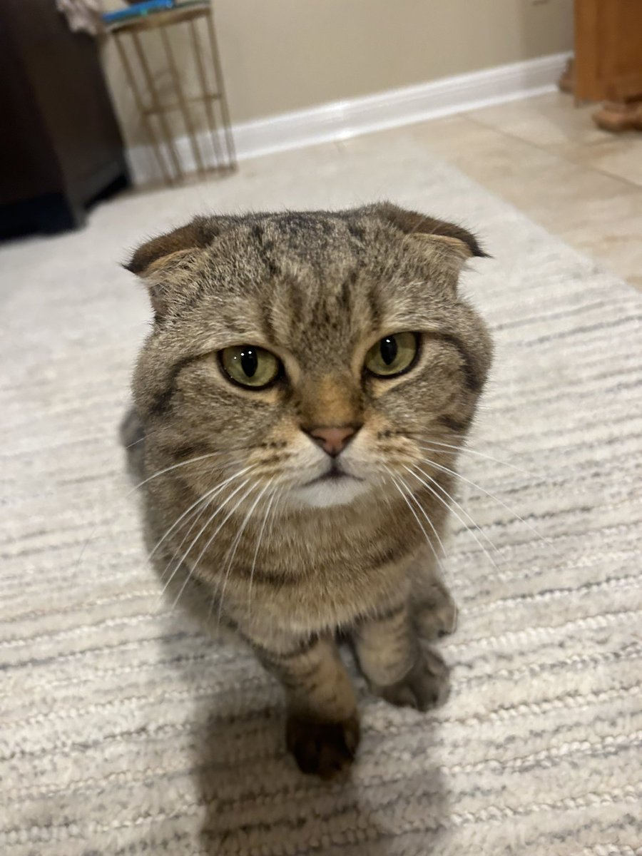 change (@changefomo) on Twitter photo 