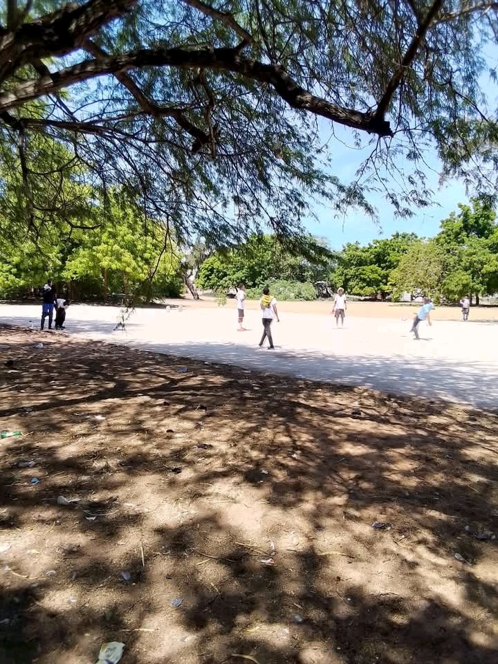 NosComunidade's tweet photo. SETOR TURISMO 🇦🇴🛫 
CONHEÇA a Floresta da ilha de Luanda- ANGOLA 📍 
#setorturismo #florestadailhadeluanda 
#conhecaangola #nosecomunidade
#tudopelacultura 🇦🇴 https://t.co/tC36rFJJs1