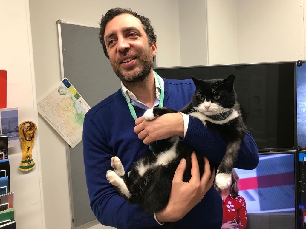 QEPD Palmerston 🐱💔 

Gracias por su valioso trabajo para nuestro país. Siempre recordaré sus vistas a mi oficina en Londres, aunque evidentemente no te gustaba mis abrazos.