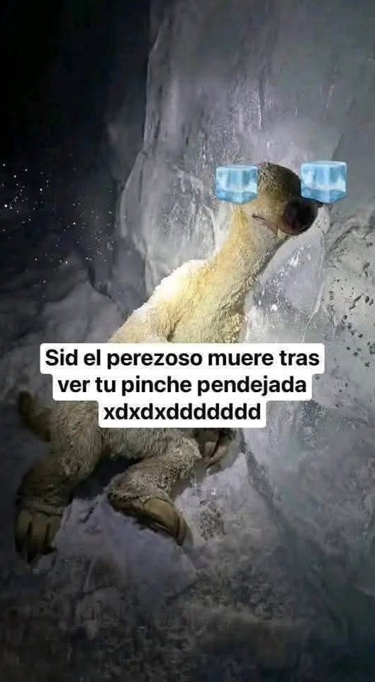 <a href="/bjs_alejo2/">Alejo</a> No sé cuántas veces vamos a repetir el que debamos explicar que Madagascar 2 también trata de las mismas cosas que la parte de arriba cada que alguien sube este meme boomer, pero bueno. XD