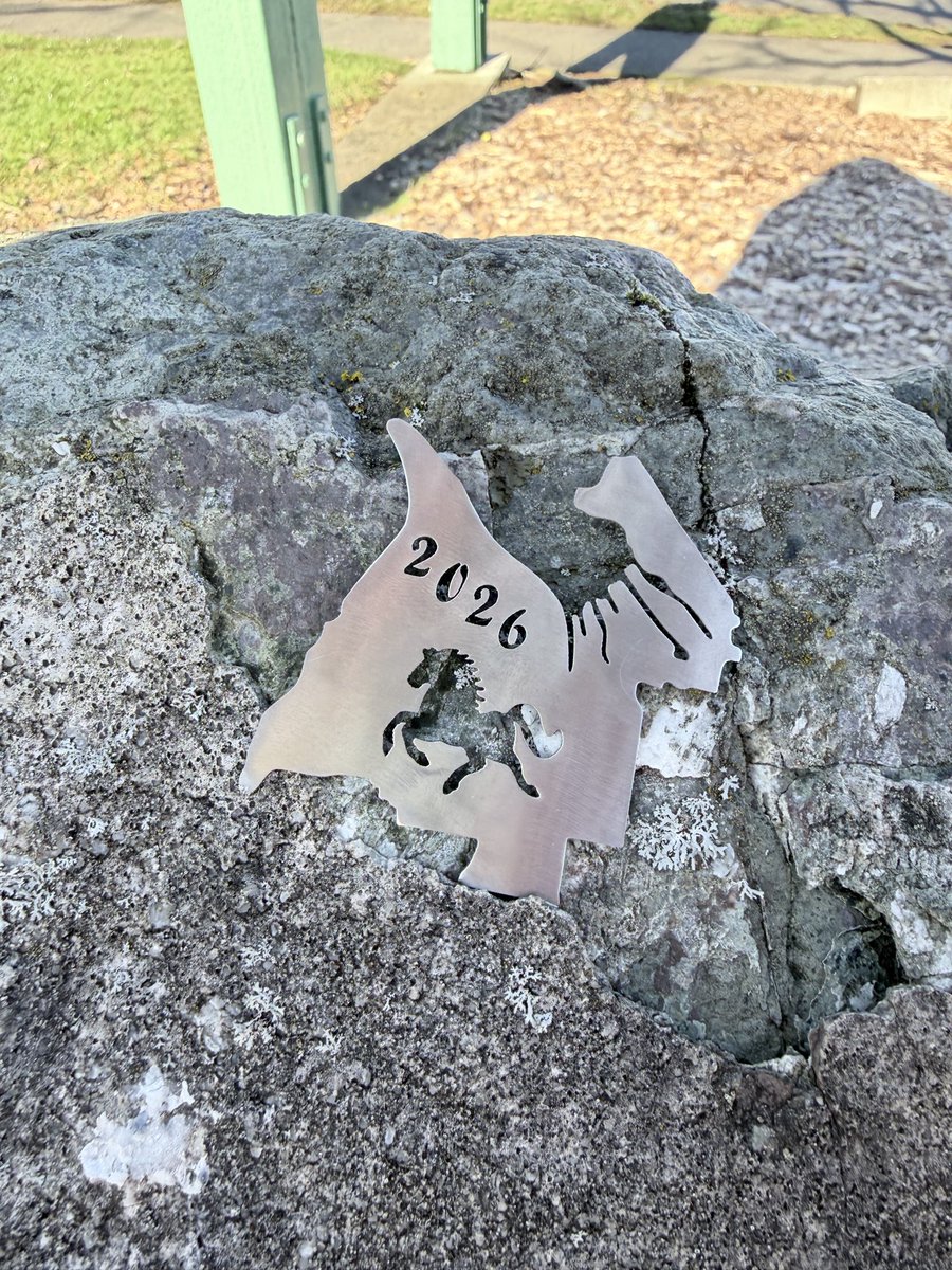 MandaGrumpy tweet media