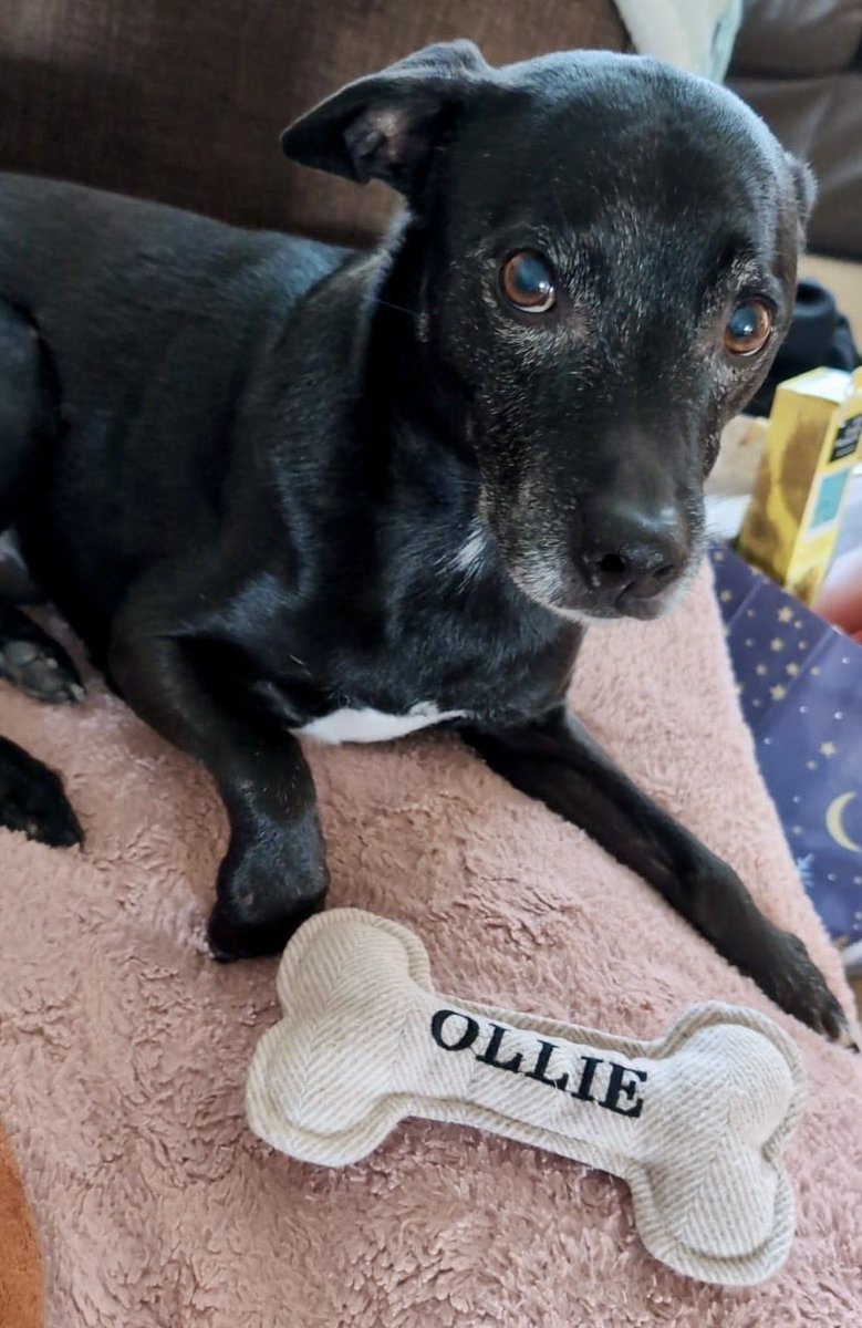 Kate Knighting 😷💙 tweet media