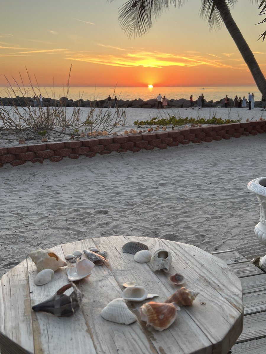 whitericenkimchi tweet media