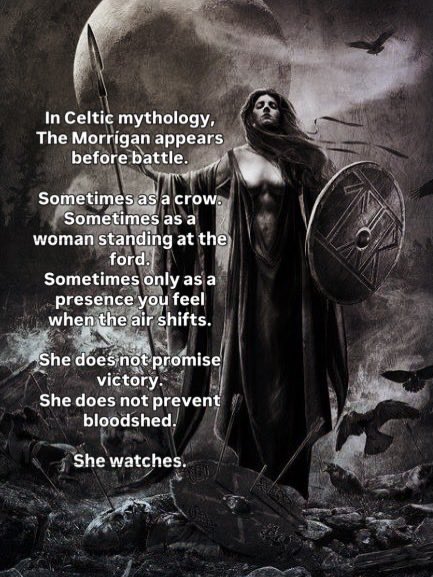 Psychology Of The Strange tweet media