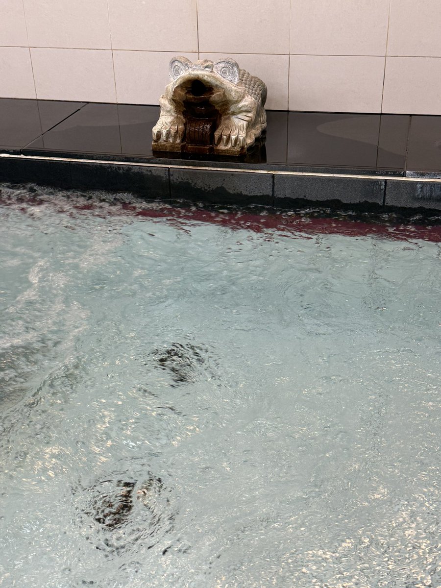rubypalace_PR's tweet photo. おはようございます🐸

本日7:30〜2/18(水)7:30まで館内メンテナンスのため休業とさせていただきます。

湯ガエルも少しお��みします！
(シュールな🐸添えておきます) https://t.co/x4LjjEc0GY