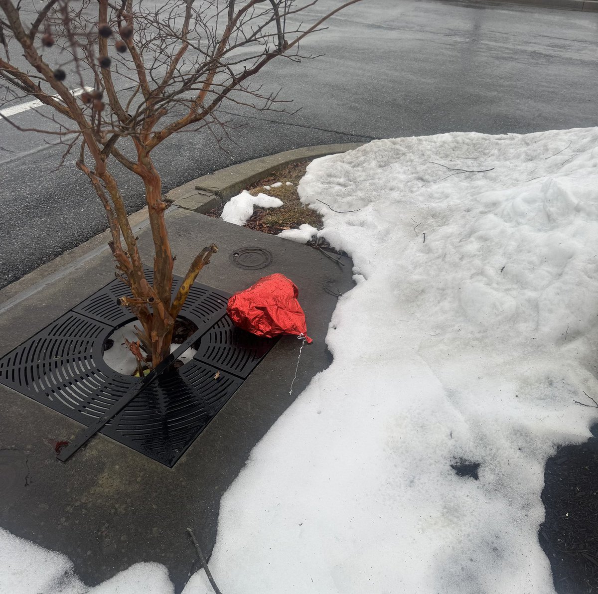 join the discord, come hang

discord.gg/vkfcMZq2s