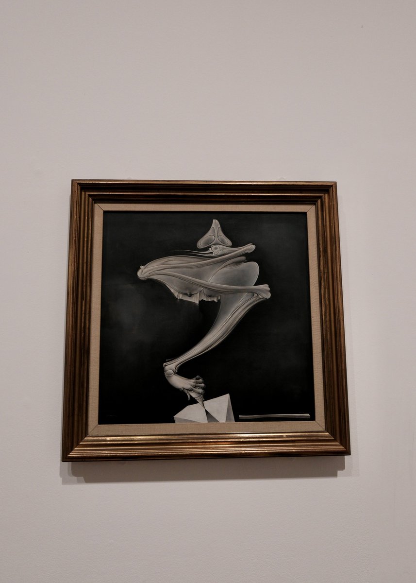 Mz Amara tweet media