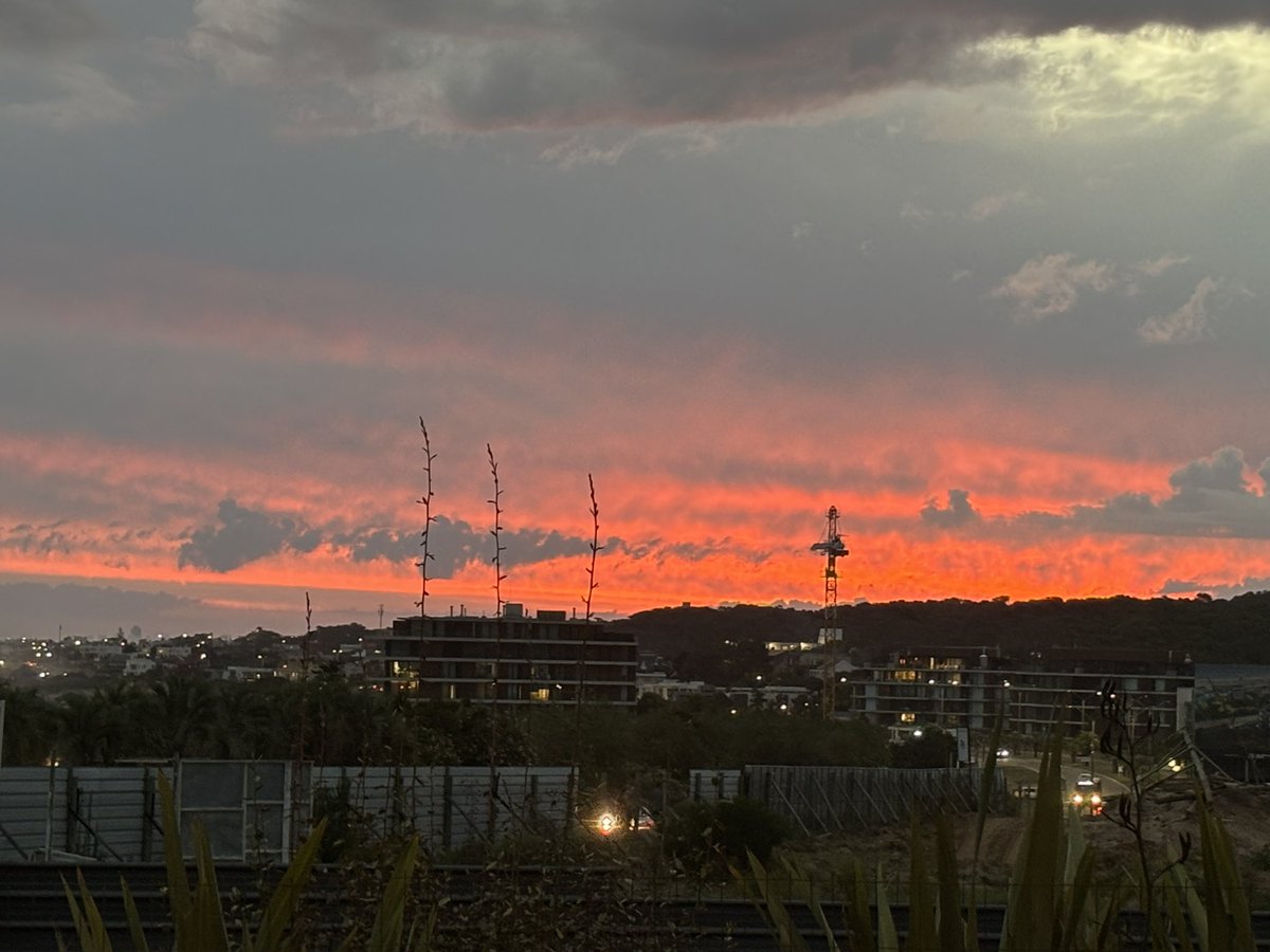 Leonardo Costa tweet media