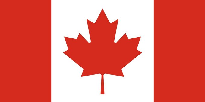 Nymm 🌙✨️ tweet media