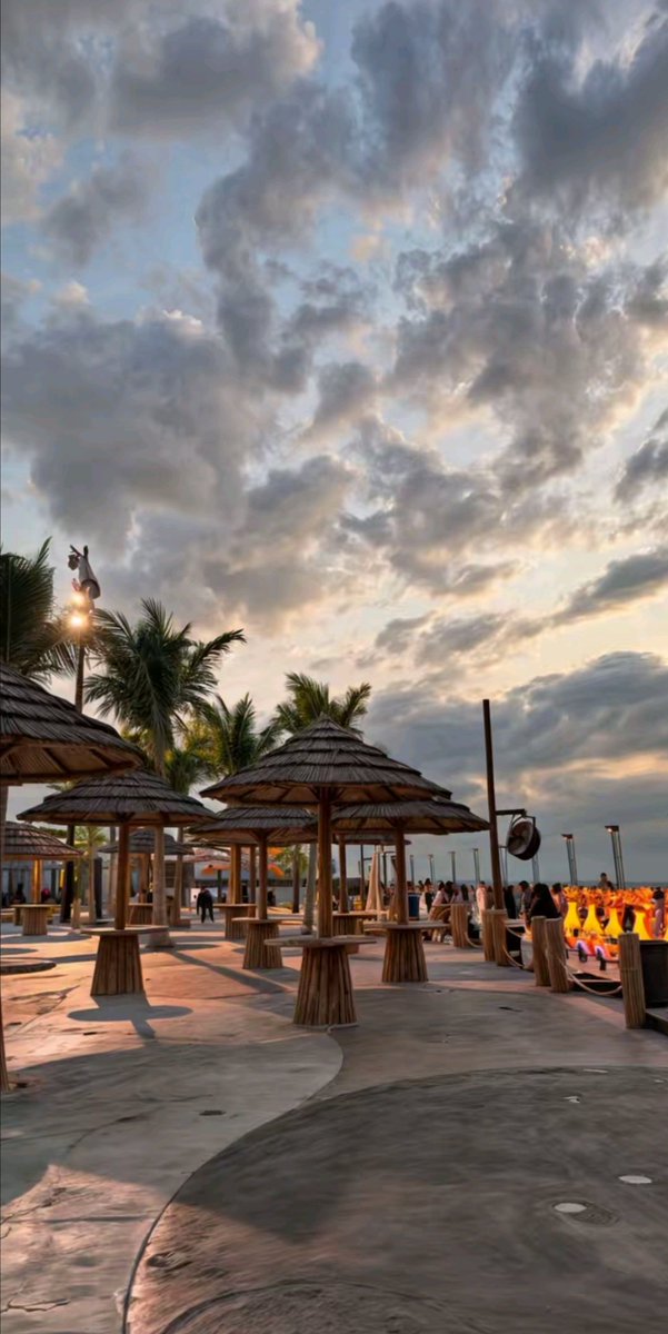 𝐋𝐚𝐯𝐚𝐧 tweet media