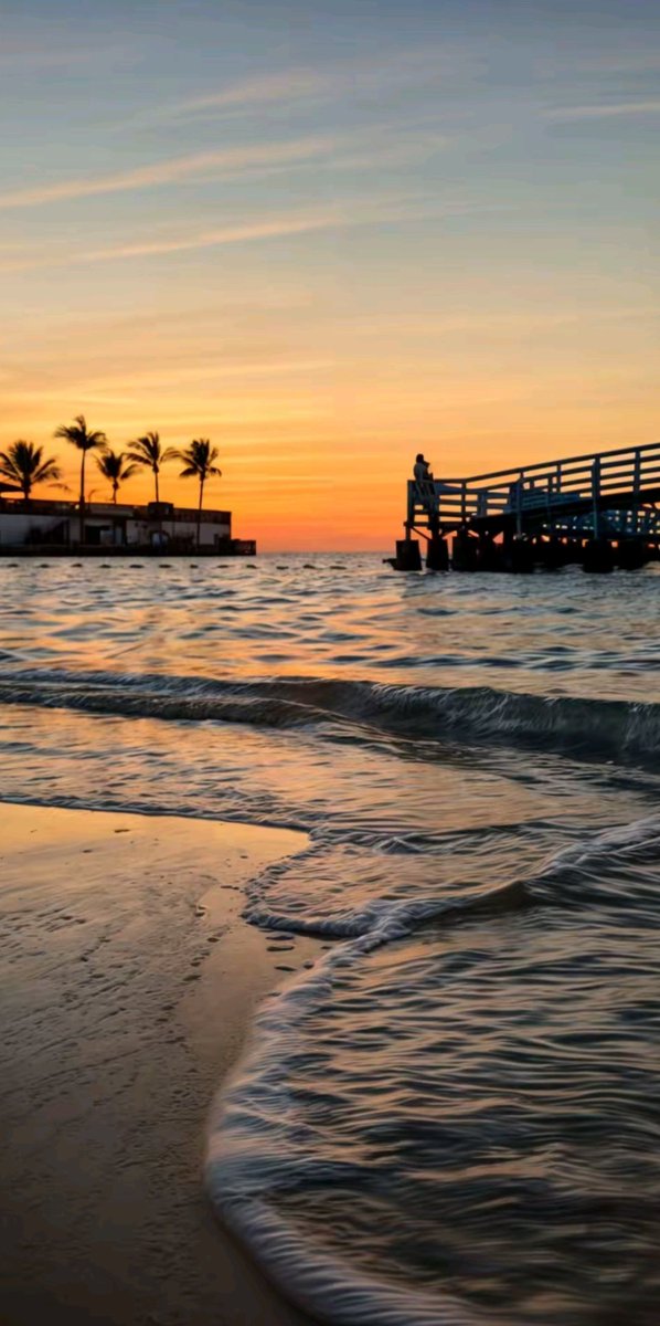 𝐋𝐚𝐯𝐚𝐧 tweet media