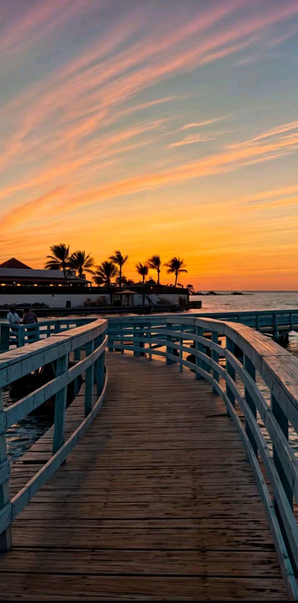 𝐋𝐚𝐯𝐚𝐧 tweet media