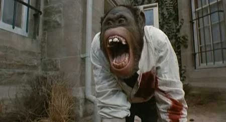 Daniel Hood tweet media