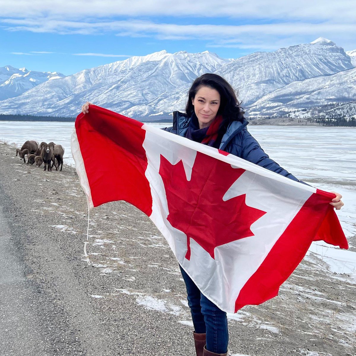 Heather McPherson tweet media