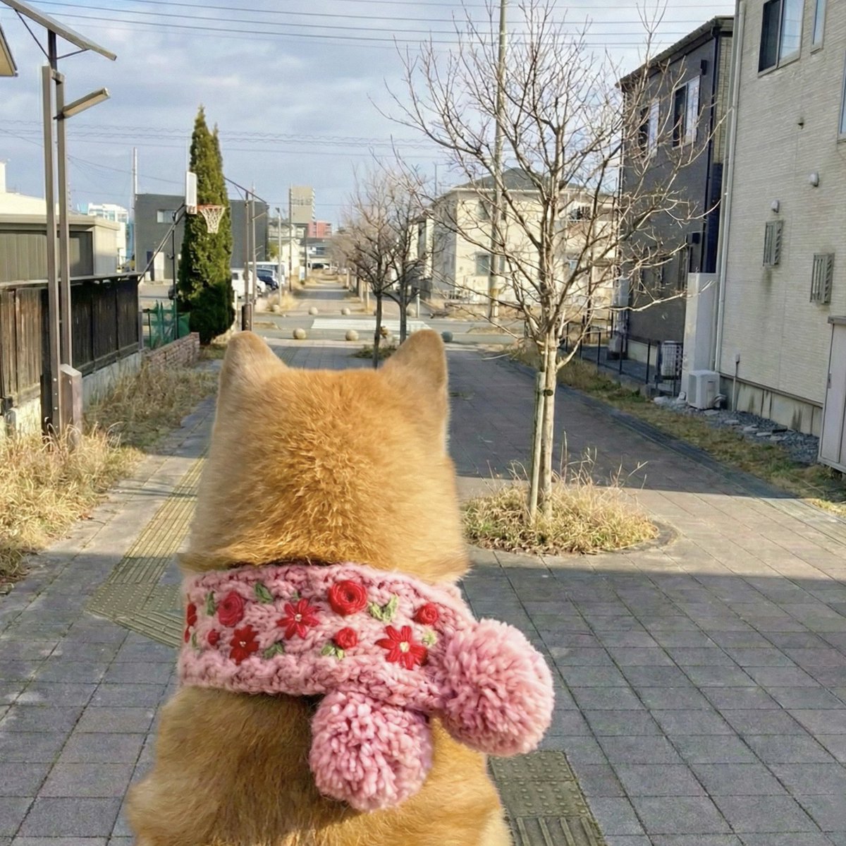 見えなくなるまでお見送りしてるの尊い