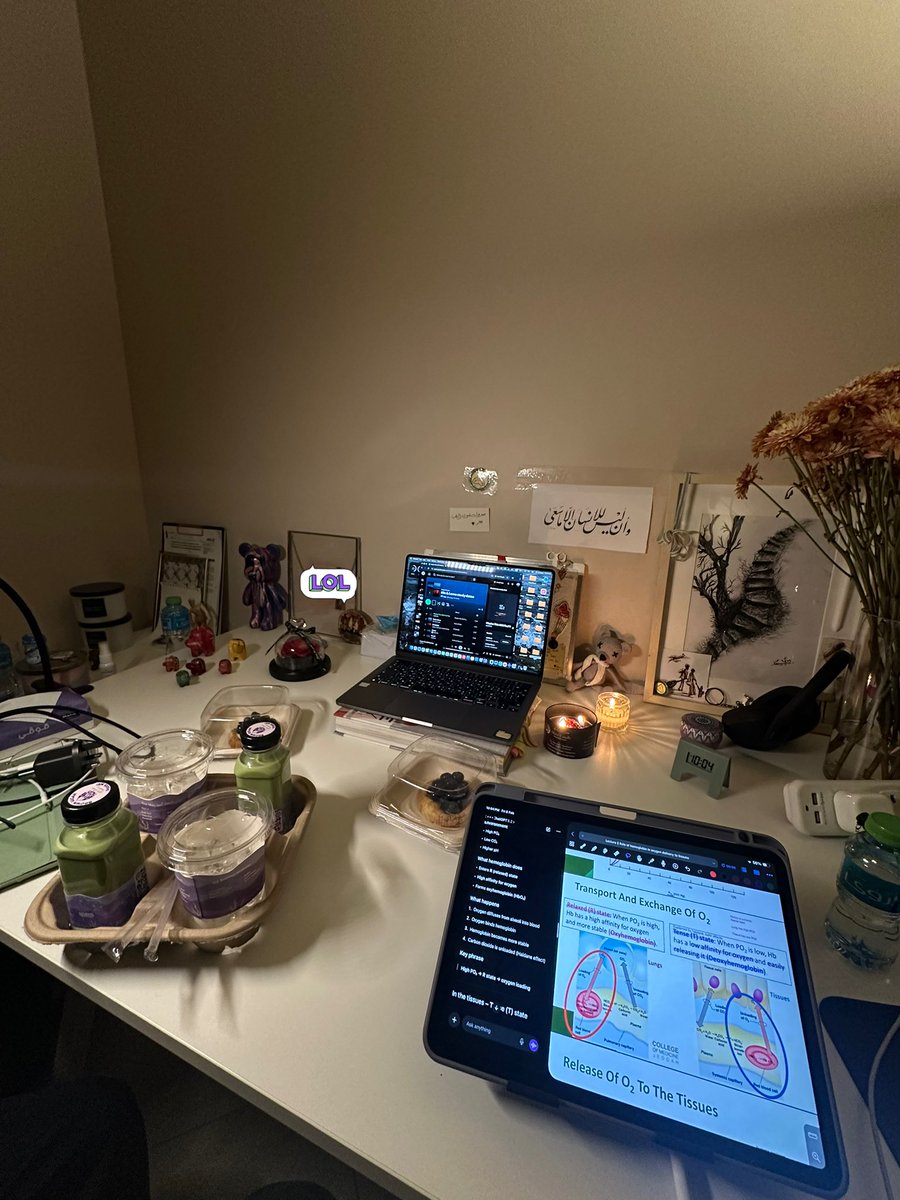 Hala | هلا tweet media