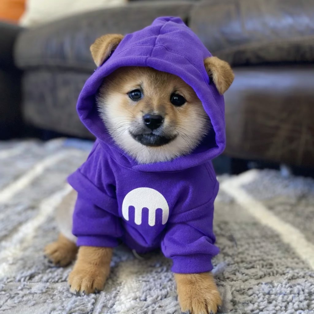 If you are looking to buy $DOG I can't recommend <a href="/krakenfx/">Kraken</a> enough

They listed $DOG for free without charging a listing fee

Their CEO spoke at the $DOG conference

They put $DOG on the tail of an F1 car

They are a US based tier-1 CEX that has been around for 15 years who treats