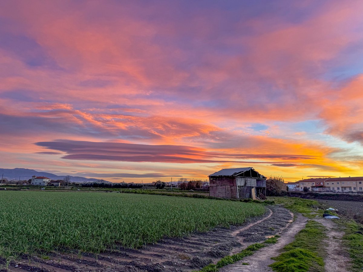 jose manuel martinez tweet media