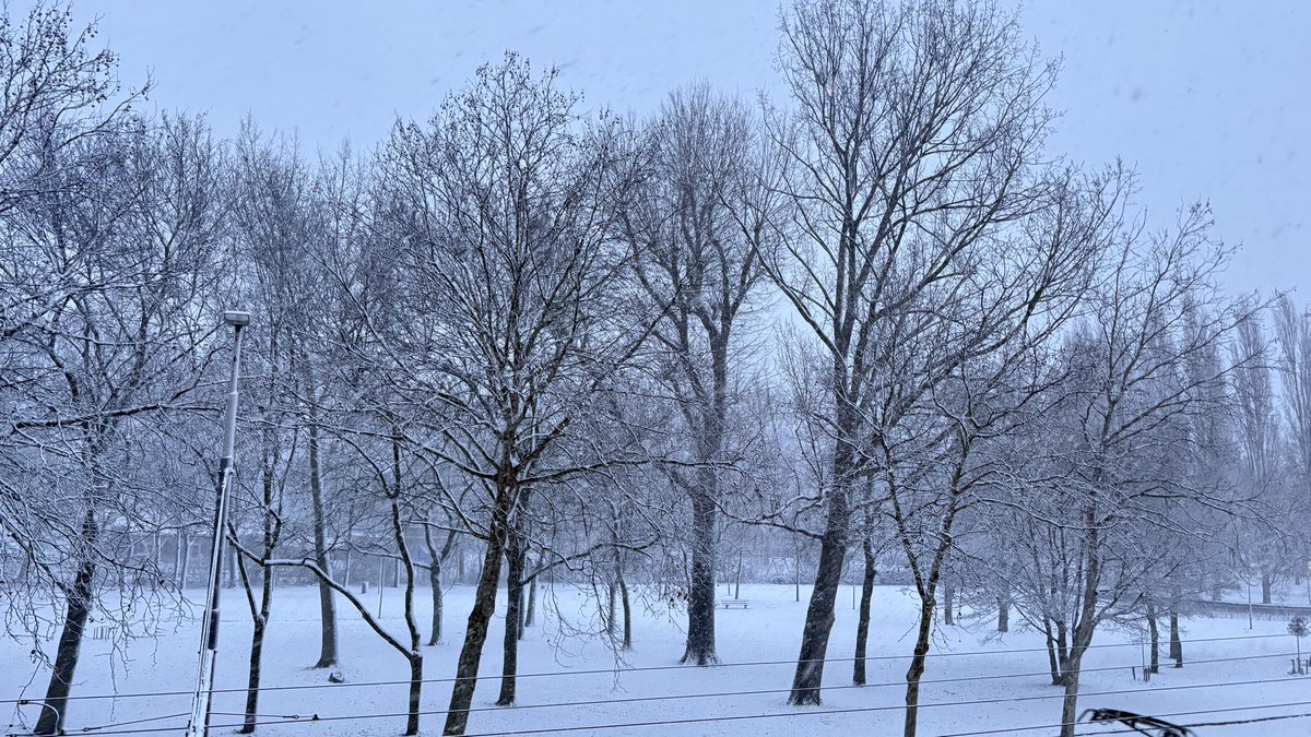 CHAMPION D’AFRIQUE ⭐️⭐️🇲🇦 tweet media