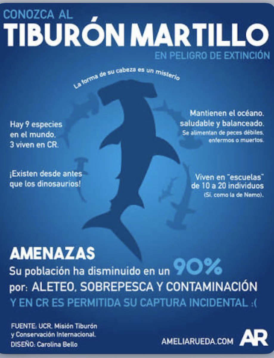 Andrés Bentancor tweet media