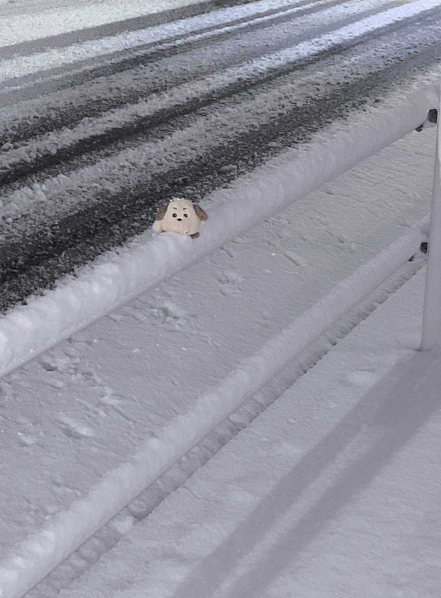 笹原郁斗 (@ilcfq) on Twitter photo 