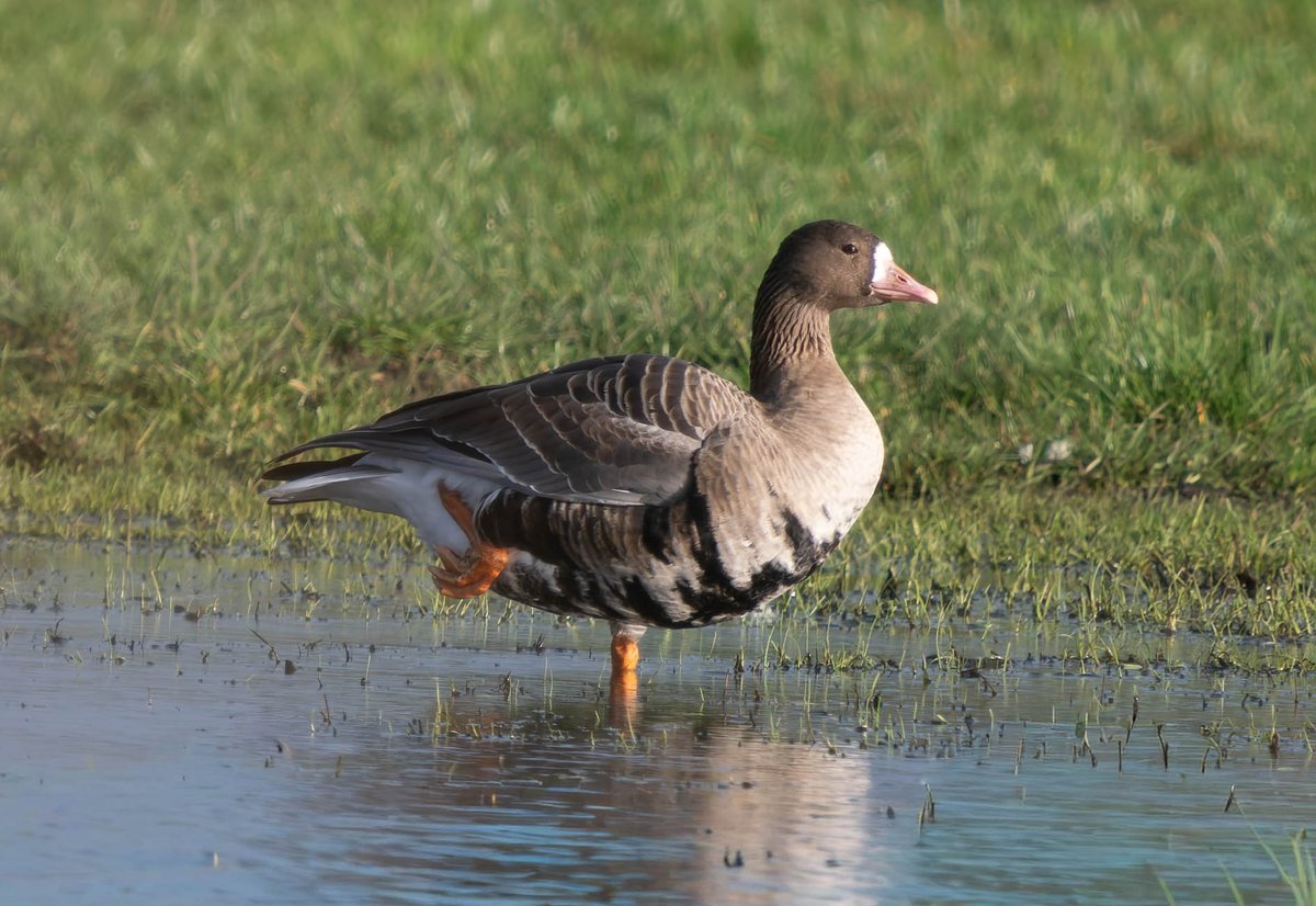 Paul Slade tweet media