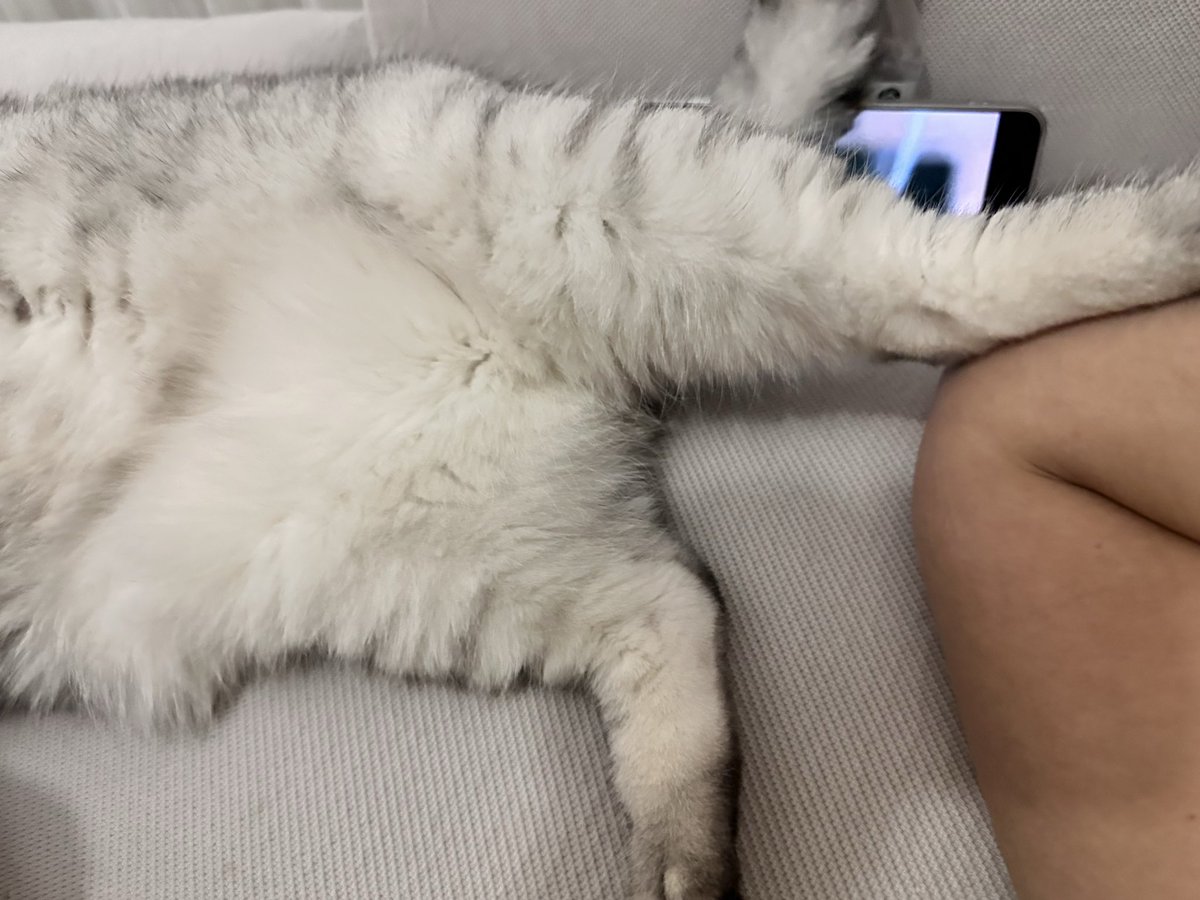 Dinlenirken de rahat yok