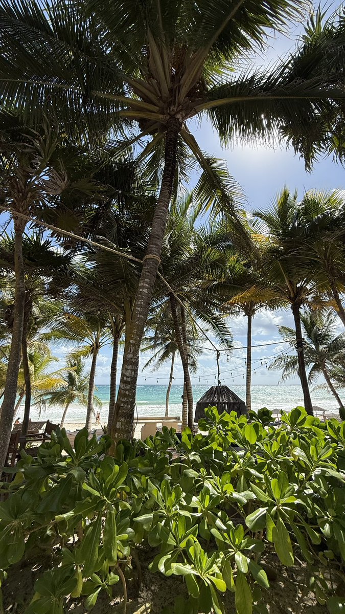 Be Tulum,
¿Existe un mejor plan?