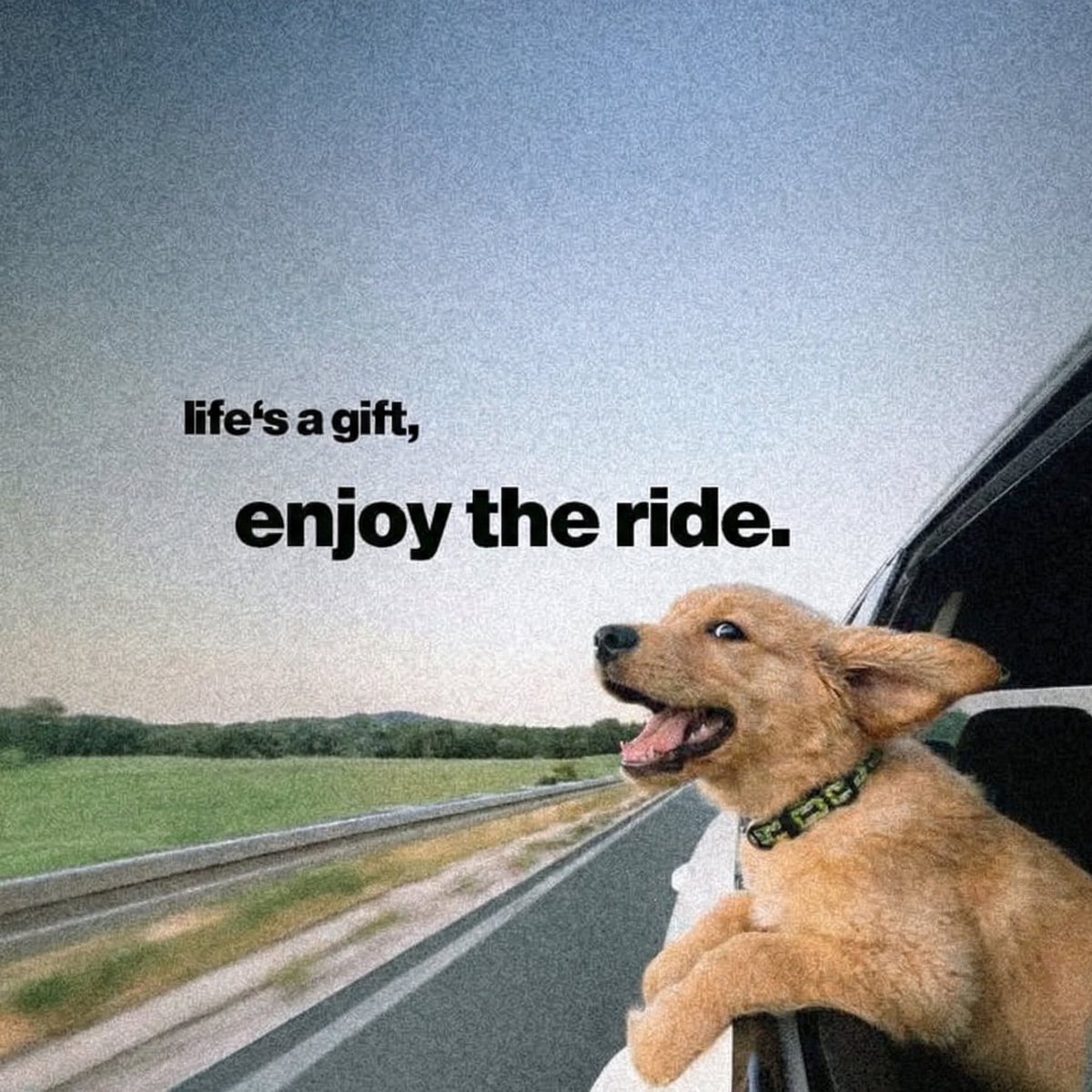 Silver (@silver_ceo) on Twitter photo 