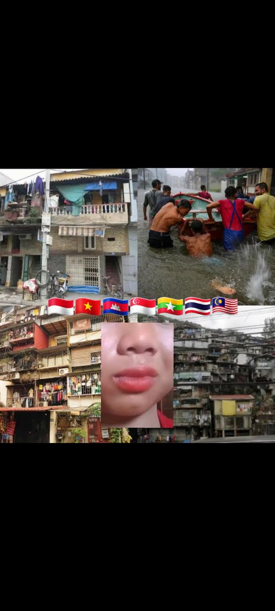 Mango Cat tweet media