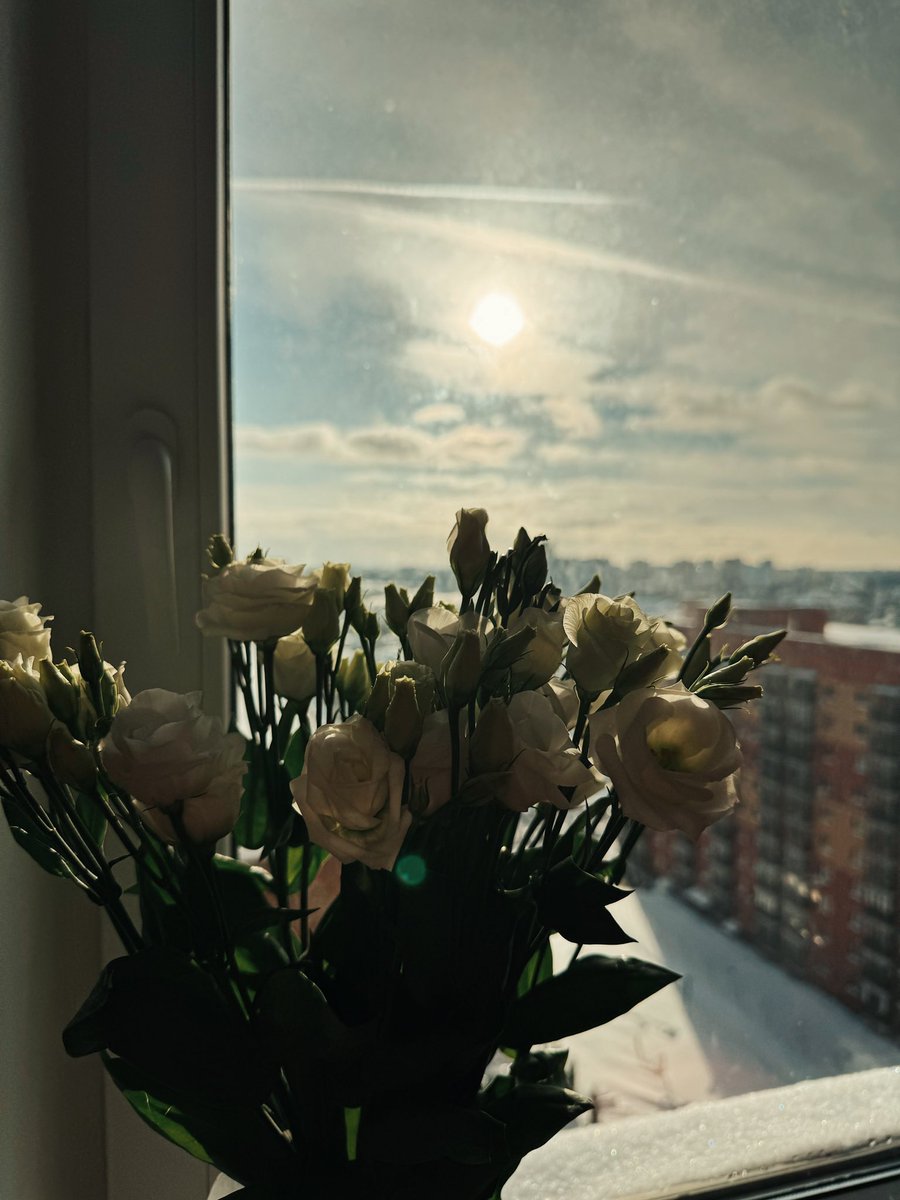 Mustafaewaaa's tweet photo. Дни в любви…🥰 https://t.co/lDltMjAJnz