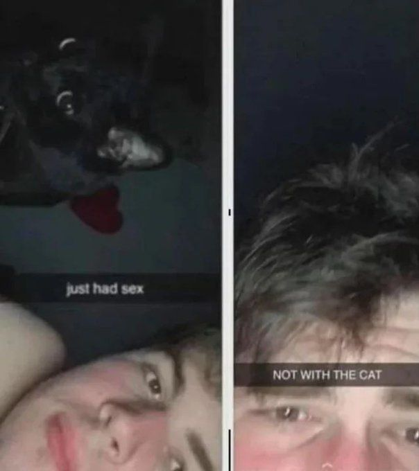 RealestMemes (@realestmemes_) on Twitter photo 