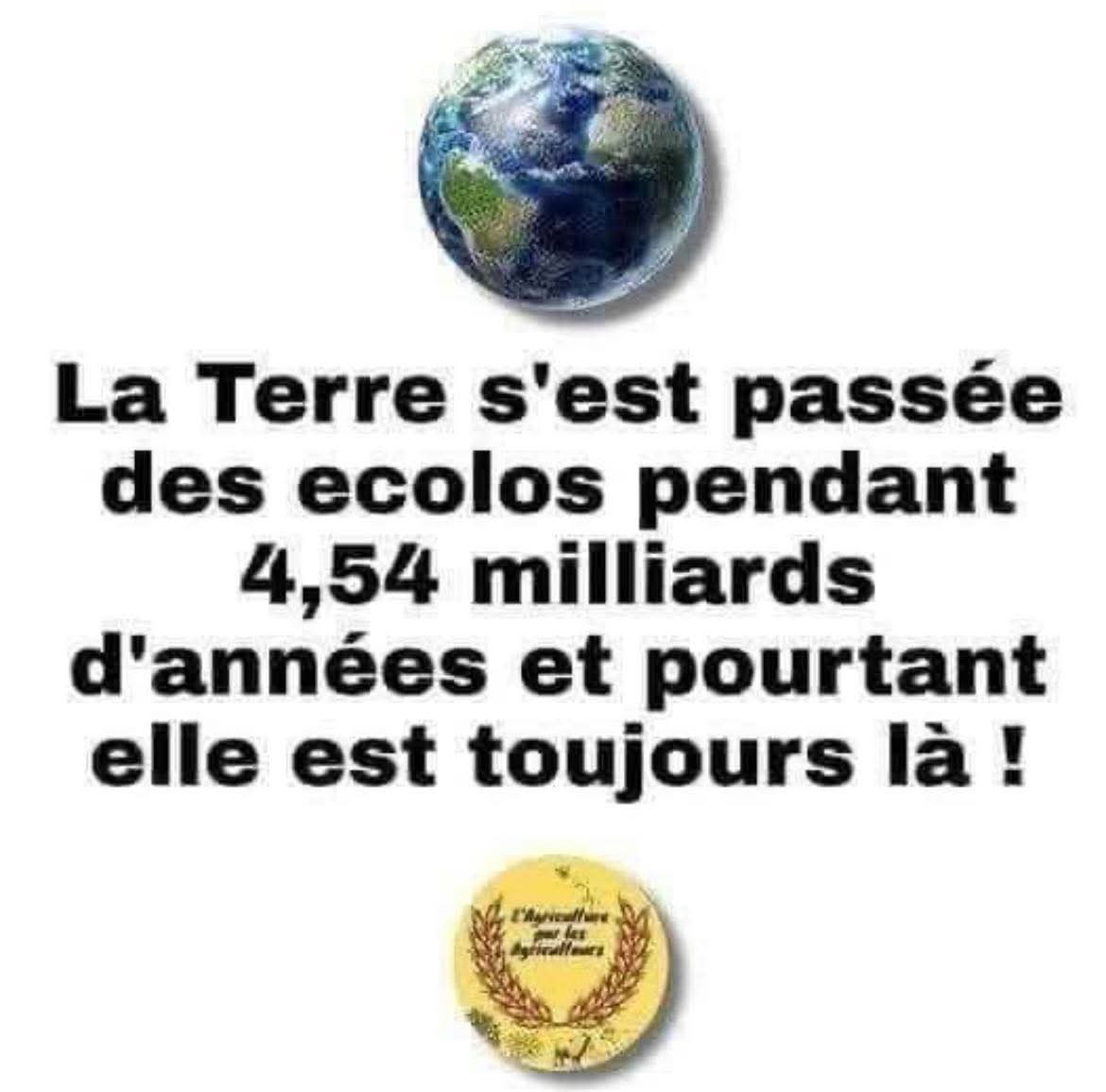 Daniel pilotte de la Barolliere ⚜️❣️🦅☦️🌿🇮🇱🇷🇺 tweet media