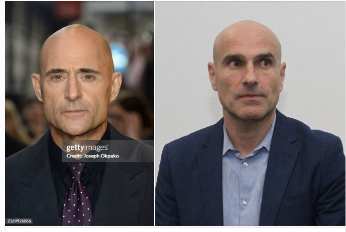 🇮🇱Rami Vered רמי ורד tweet media