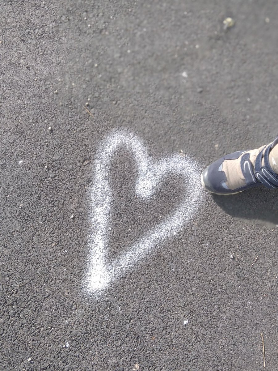 Sonia Zuccaro tweet media