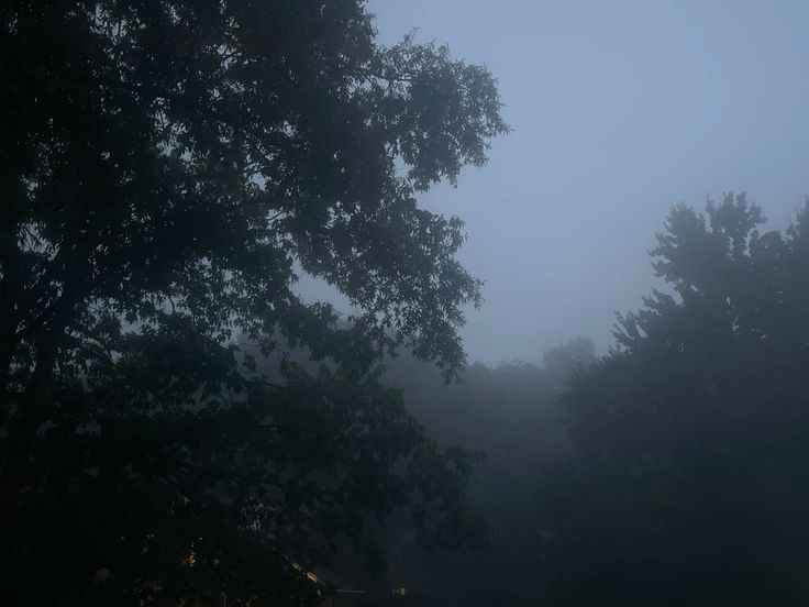 foggy weather.🩶