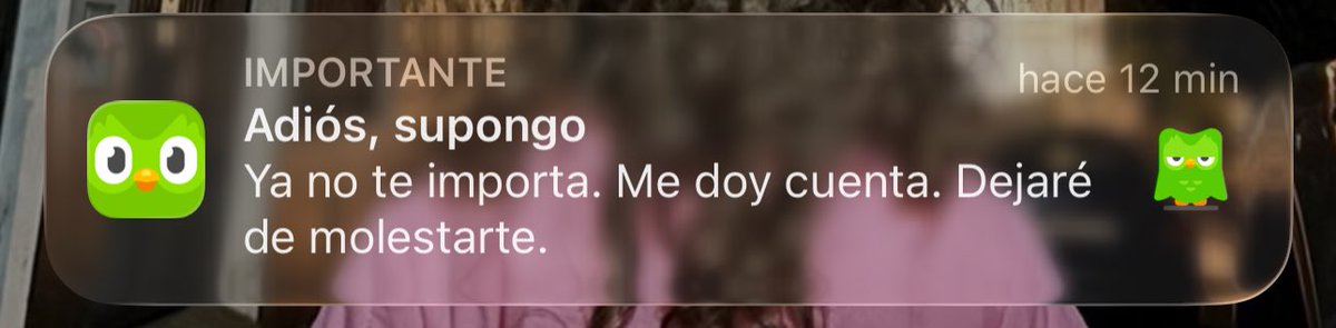 mi duolingo expresando lo que siento por el atlético de madrid: