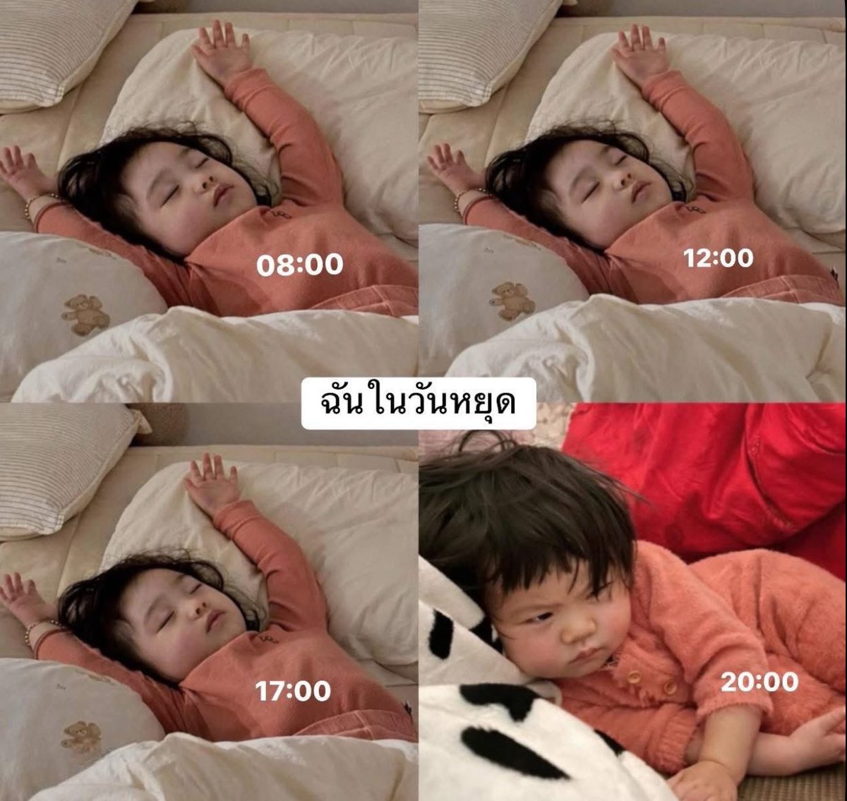 อีเหี้ย ใช่เลย555555555