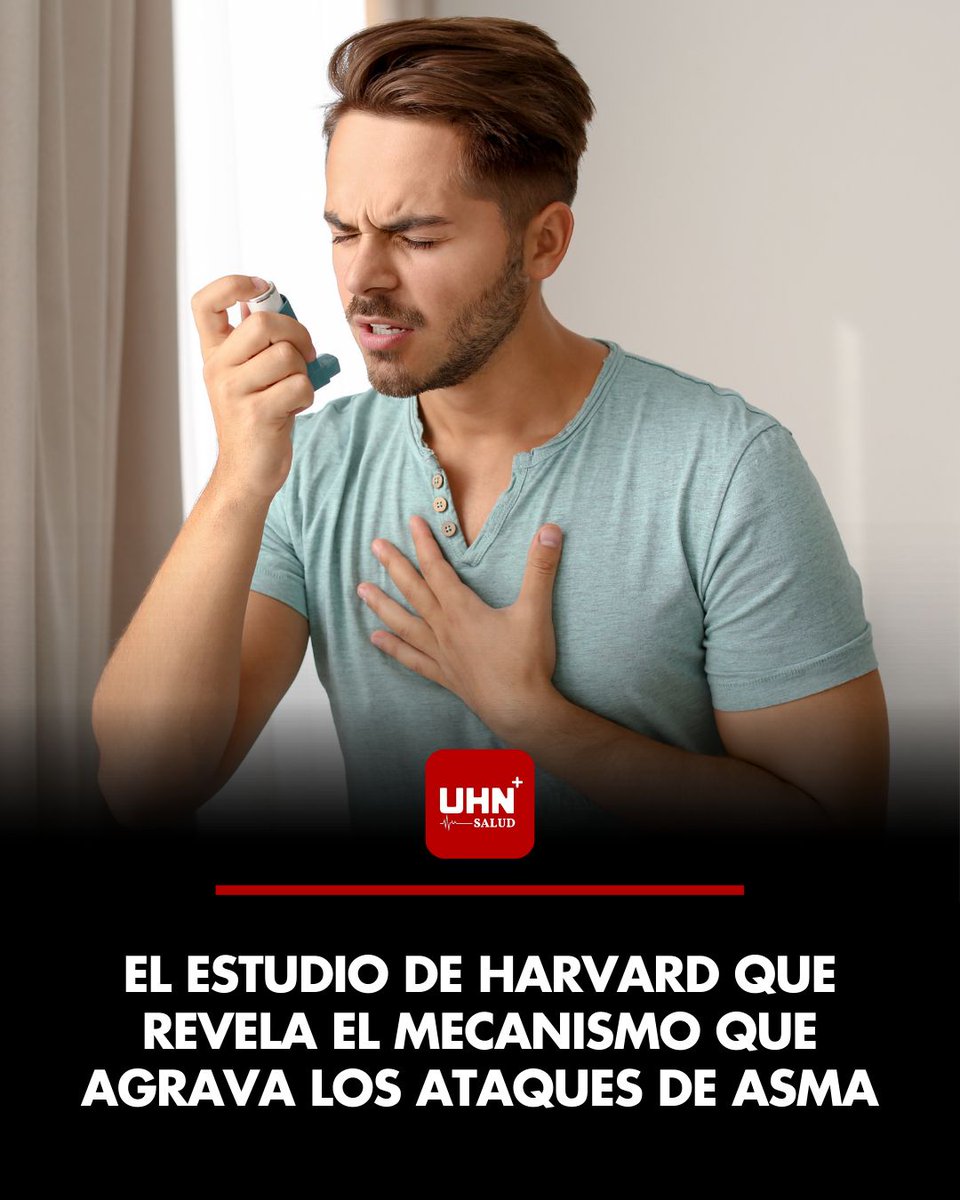 🫁‼️ | HARVARD IDENTIFICA EL MECANISMO QUE AGRAVA LOS ATAQUES DE ASMA — Un nuevo estudio liderado por investigadores de la Universidad de Harvard reveló cómo ciertos procesos inflamatorios del sistema inmunológico pueden intensificar y prolongar las crisis asmáticas, abriendo la