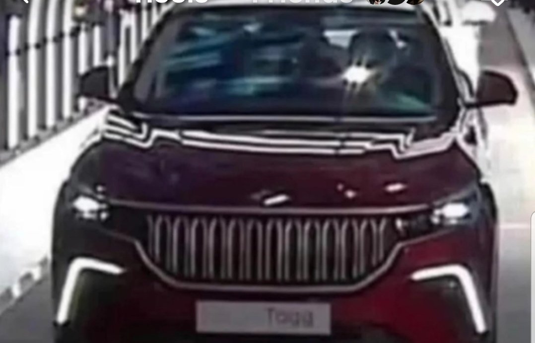 İtalyan tasarımlı, Alman motorlu, İngiliz şasili, Çin bataryalı aracı alabilirseniz araçtaki tek yerli mal siz olacaksınız.