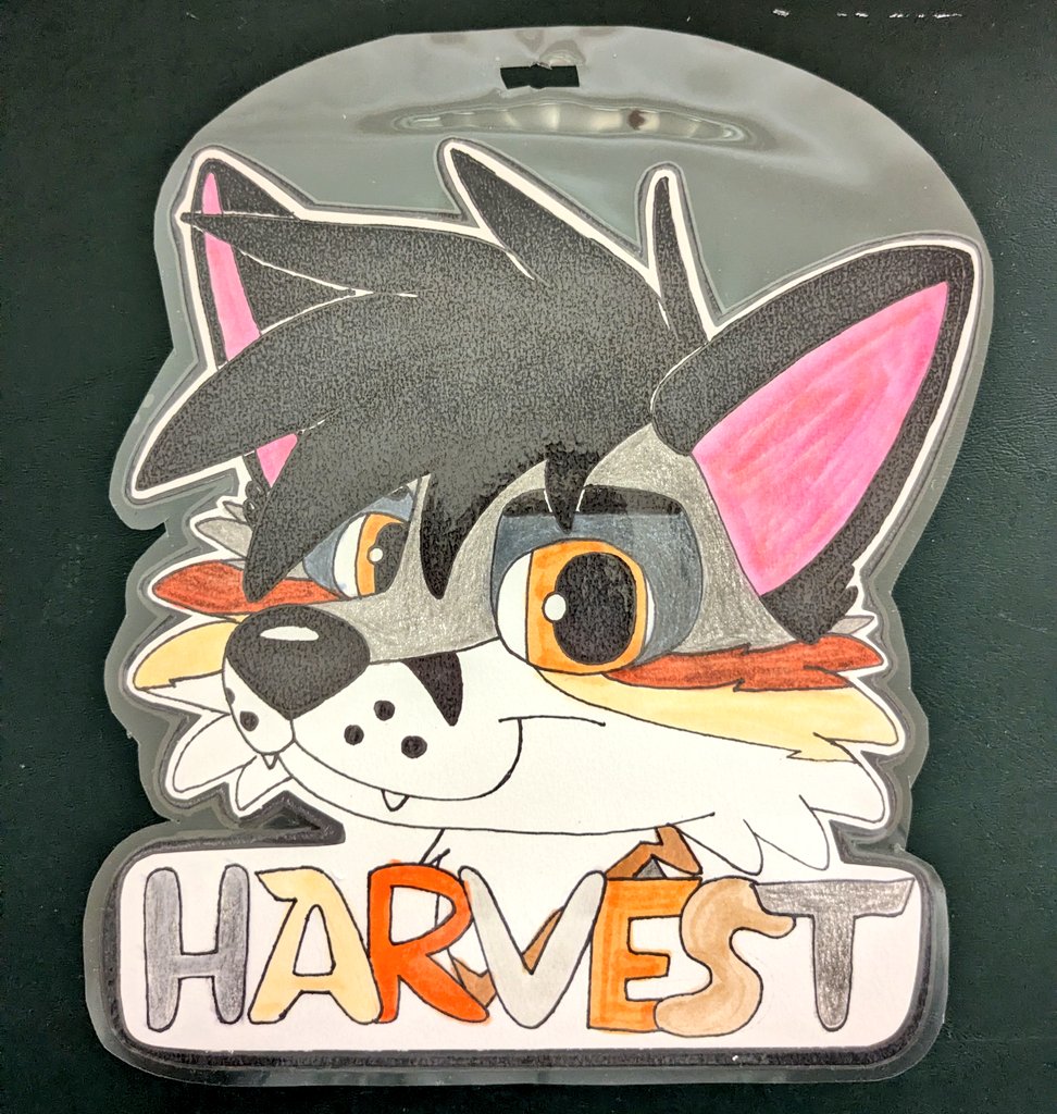 Kayto 🐾🌺🤙 🔜 FC 2026 tweet media