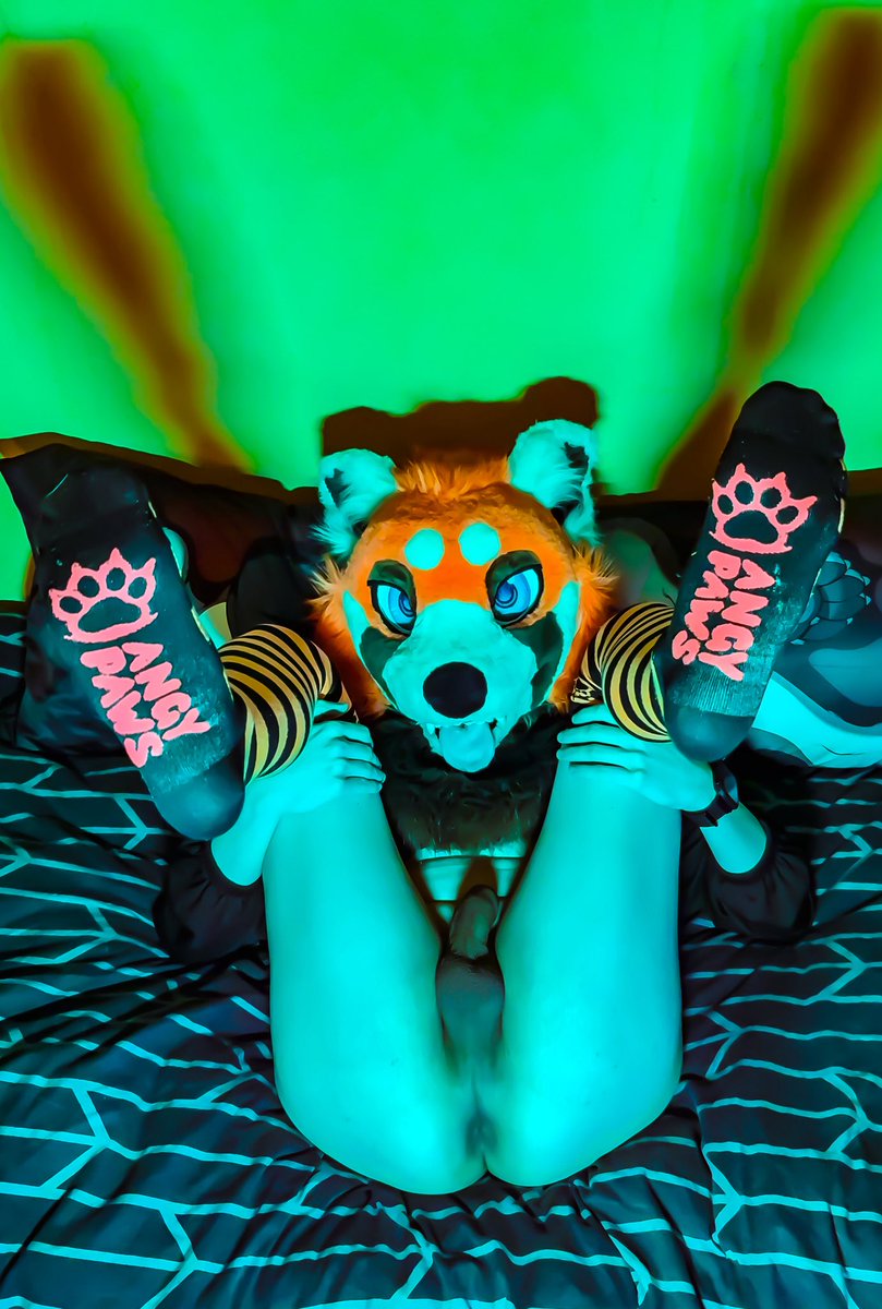 Wahtrowski tweet media