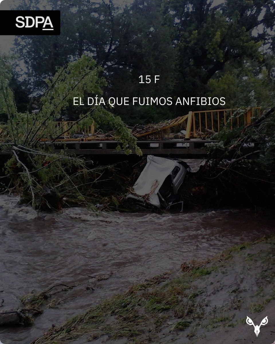 SaladePrensaAmb's tweet photo. https://t.co/QetMlnDuWL