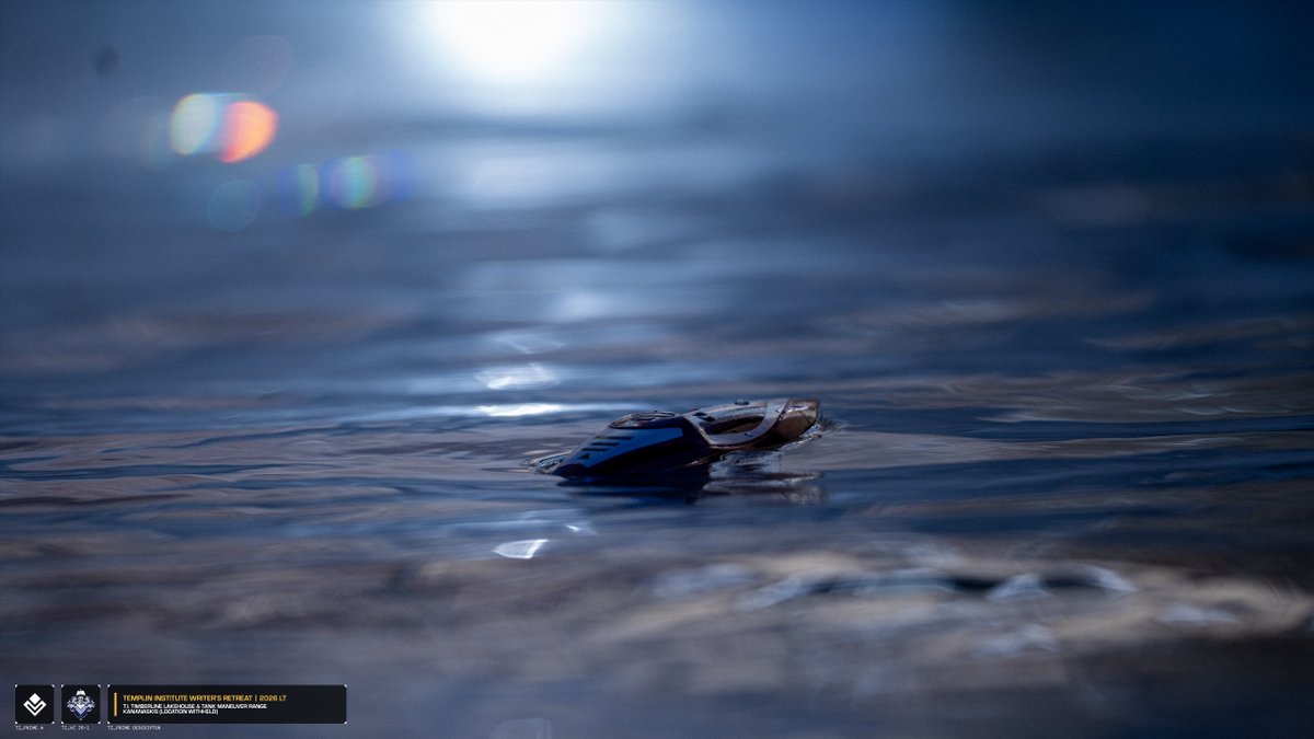 The Templin Institute tweet media