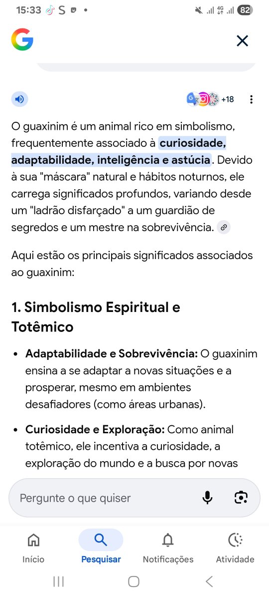 Mariacl95167166's tweet photo. O ak!guaxi realmente se parece com um guaxinim https://t.co/AWc2CAjAFa