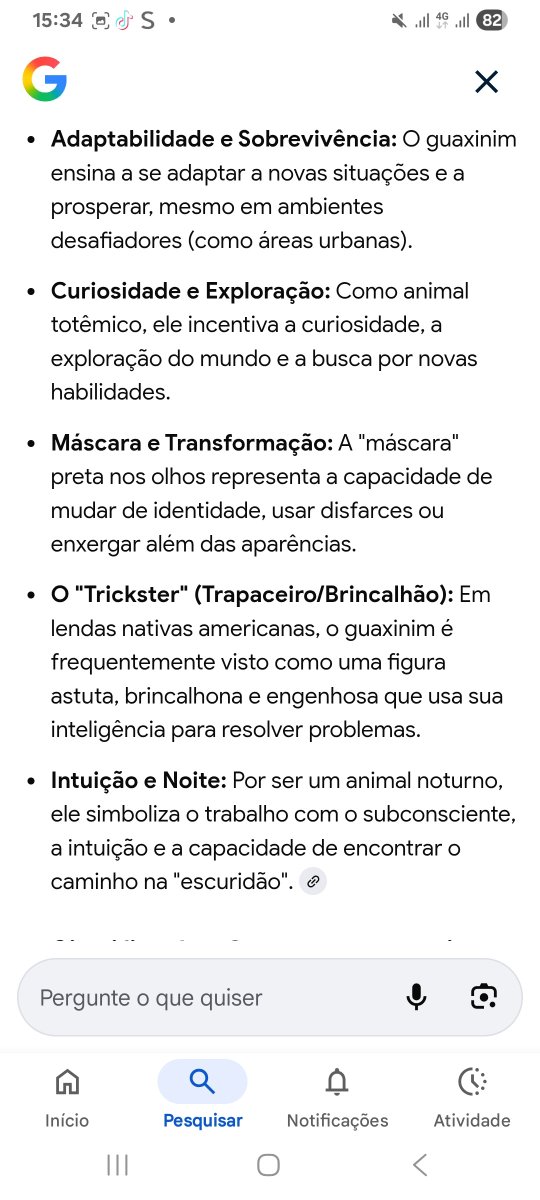 Mariacl95167166's tweet photo. O ak!guaxi realmente se parece com um guaxinim https://t.co/AWc2CAjAFa